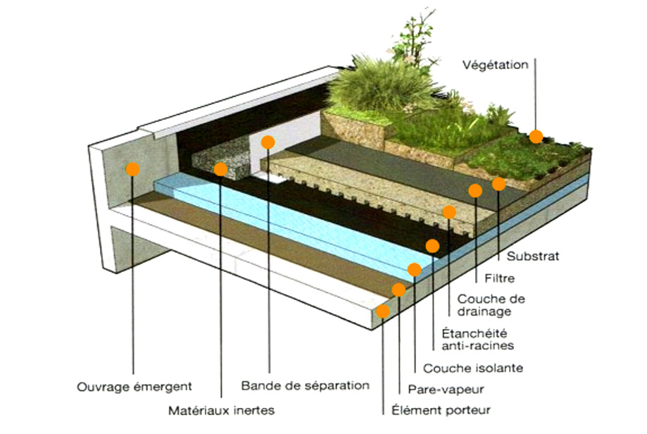 coup de comment fonctionne un toit végétal pour la pose d'une toiture végétalisée